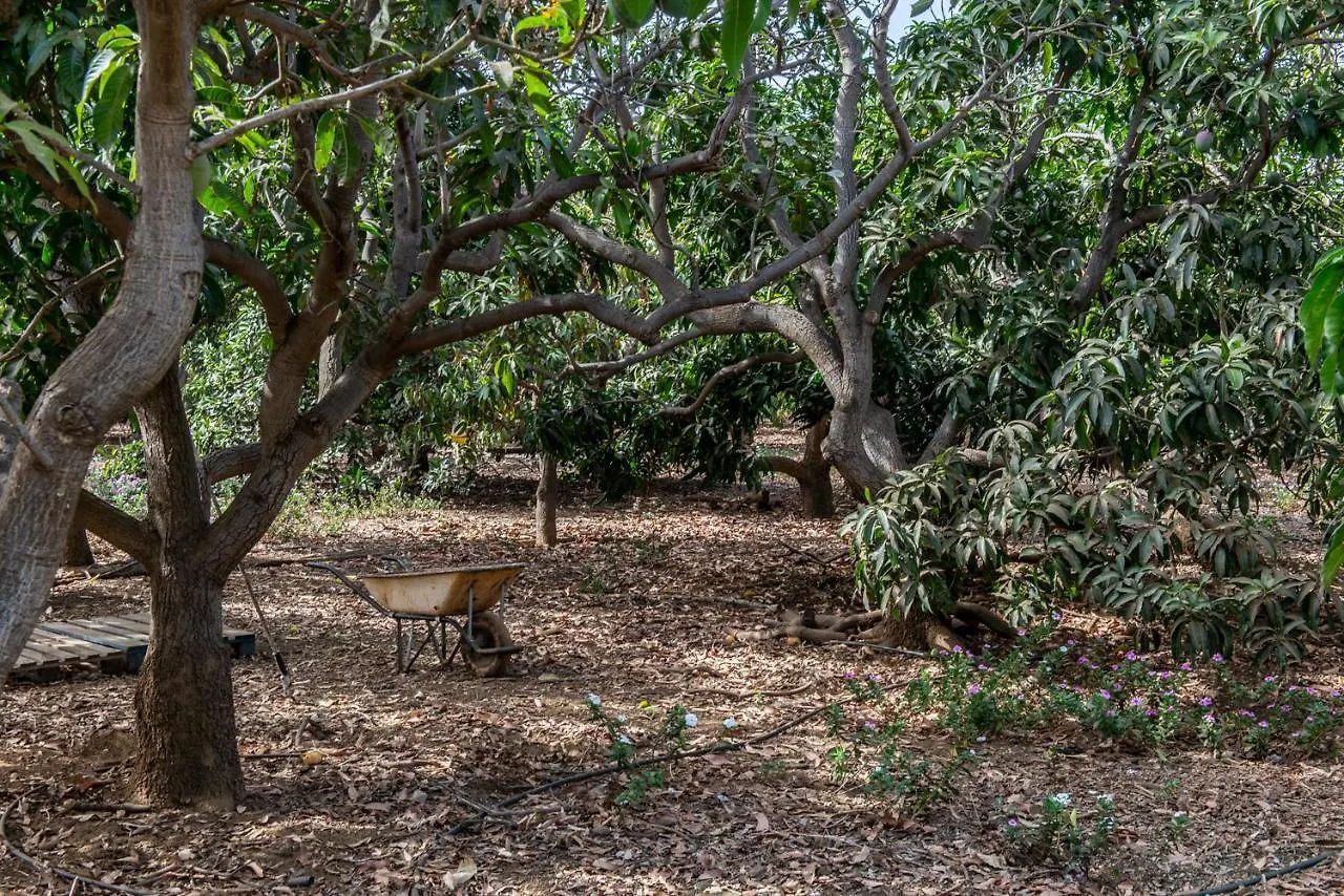 Apartments On An Organic Farm By The Coast, Frontera